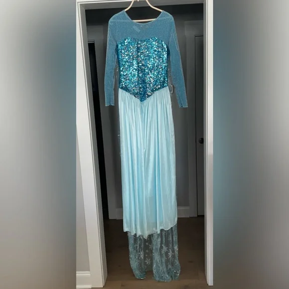 Adult Elsa Frozen Dress Costume - Picture 5 of 11